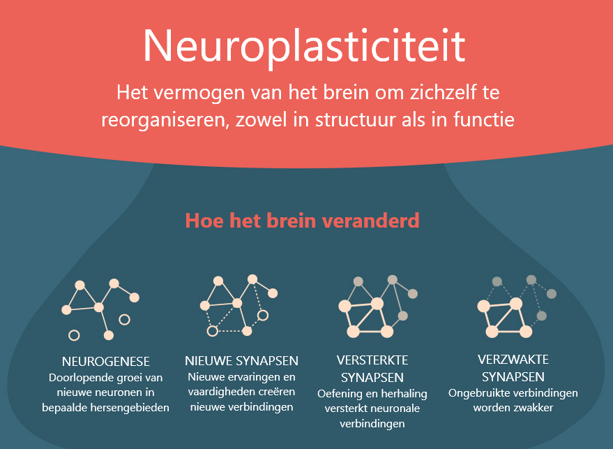 Wat is neuroplasticiteit? Wat is neuroplasticiteit?