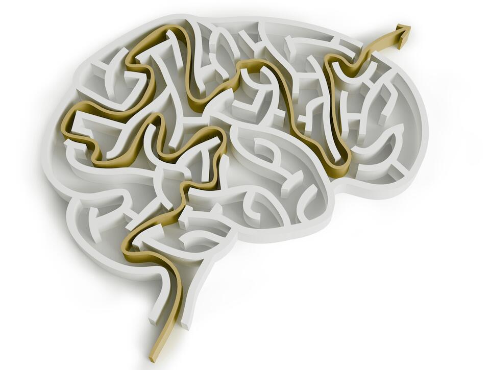 Neuroplasticiteit Neuroplasticiteit